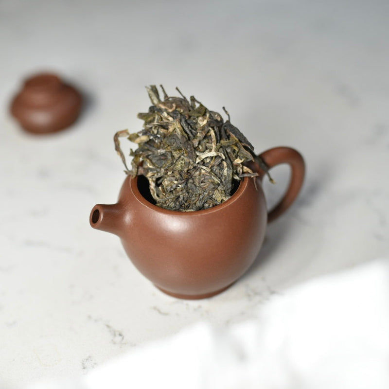 2024 Ban Pen Big Trees Puerh