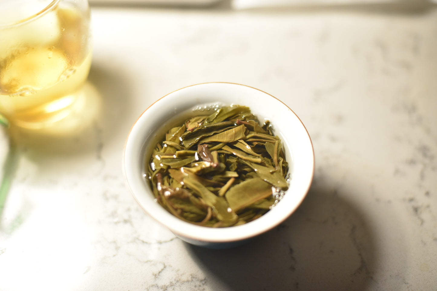 2023 Bohetang Ancient Trees