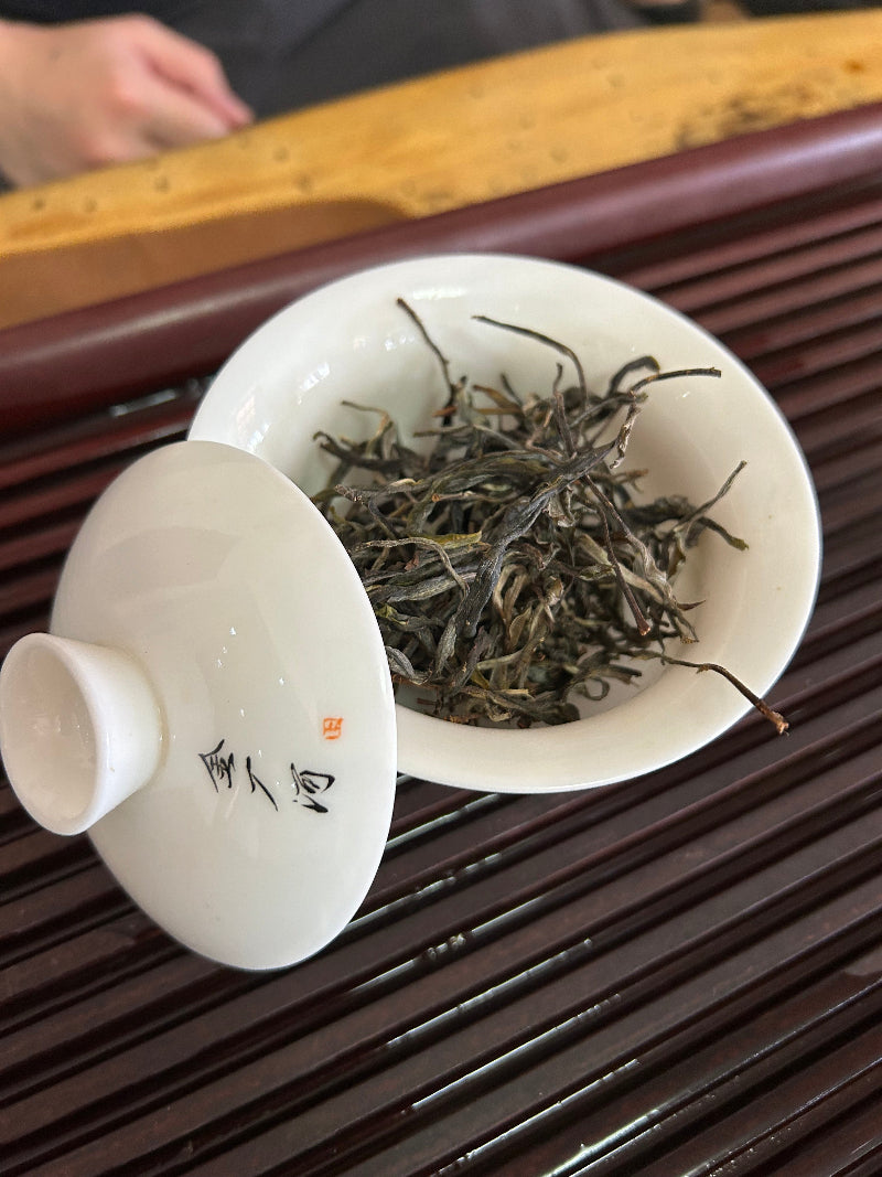2024 Yiwu - Jin Chang He (Farmer Series) Puerh