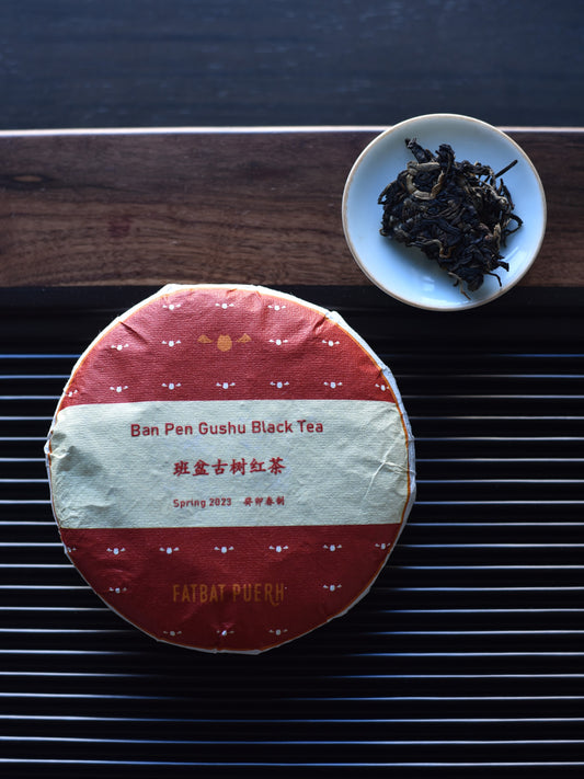 2023 Ban Pen Gushu Black Tea
