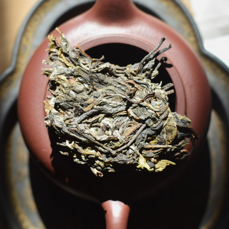 2024 Yiwu - Jin Chang He (Farmer Series) Puerh