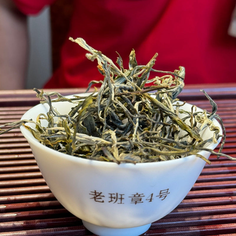 2024 Lao Ban Zhang