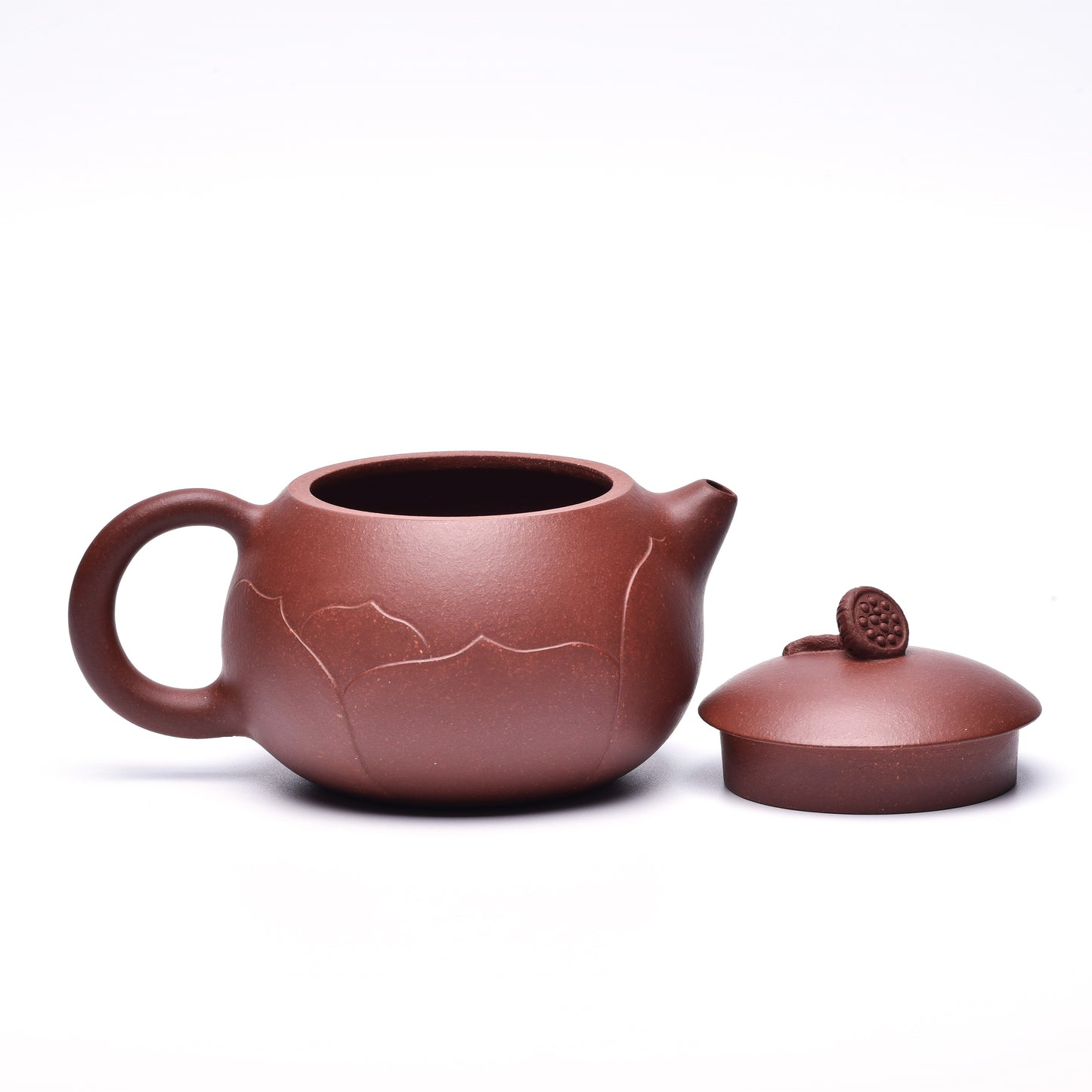 Brahma's Lotus (梵莲) Di Cao Qing Yixing #4038