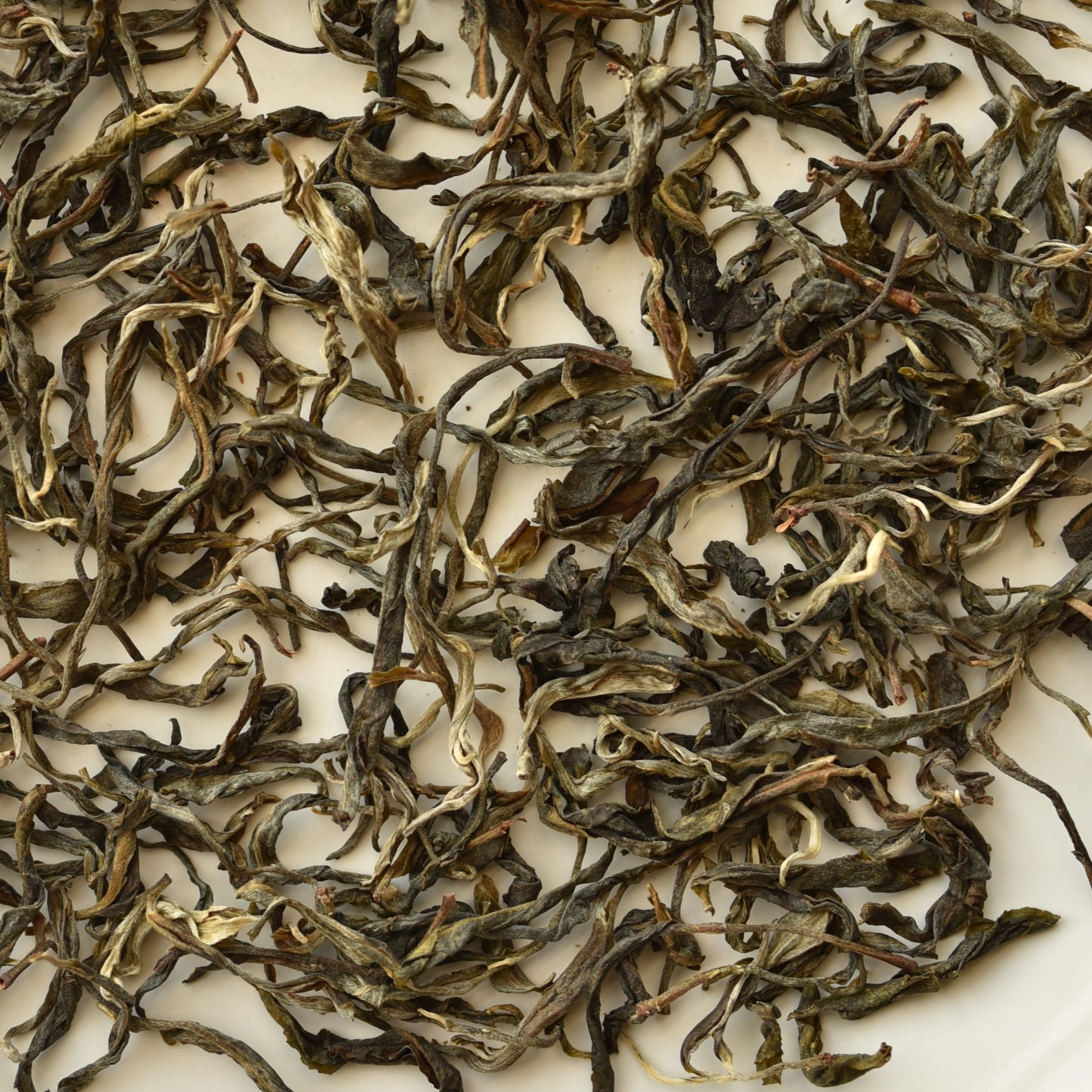 2024 Spring Luoshuidong Tall Pole Maocha