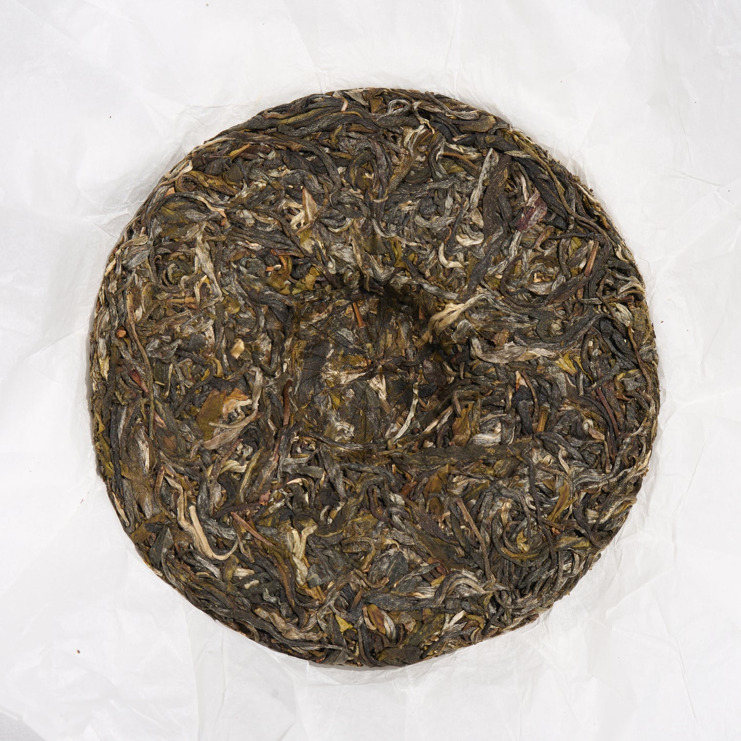 2026 Old Dragon's Grove Gushu Puerh