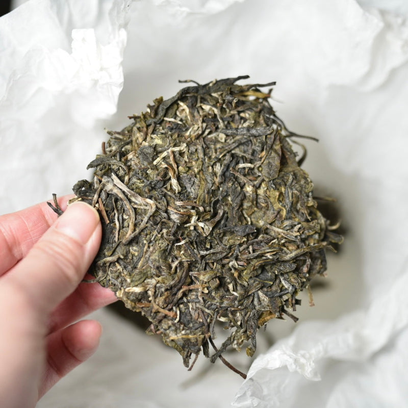 2024 Ban Pen Big Trees Puerh