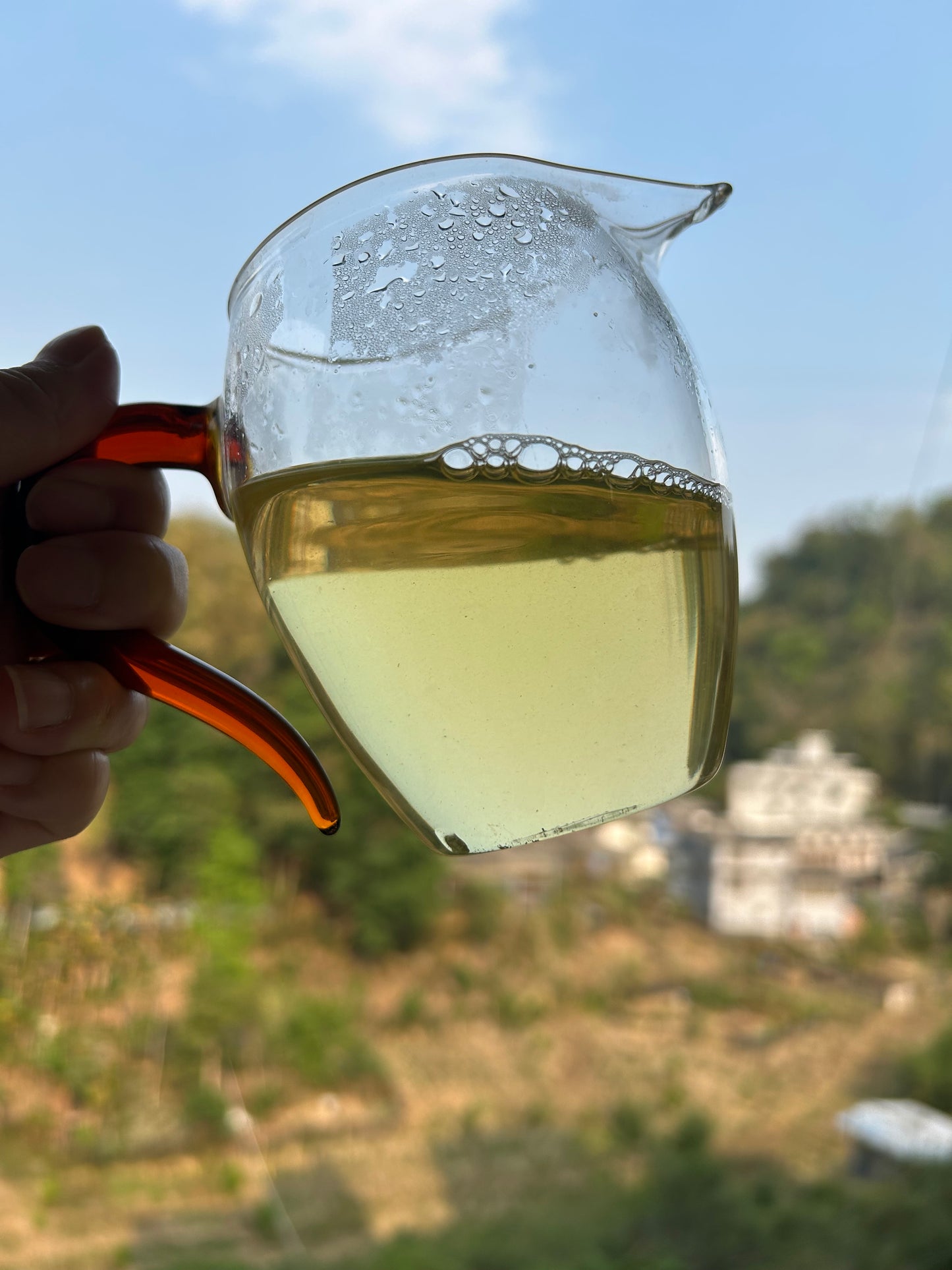 2024 Spring Luoshuidong Tall Pole Maocha