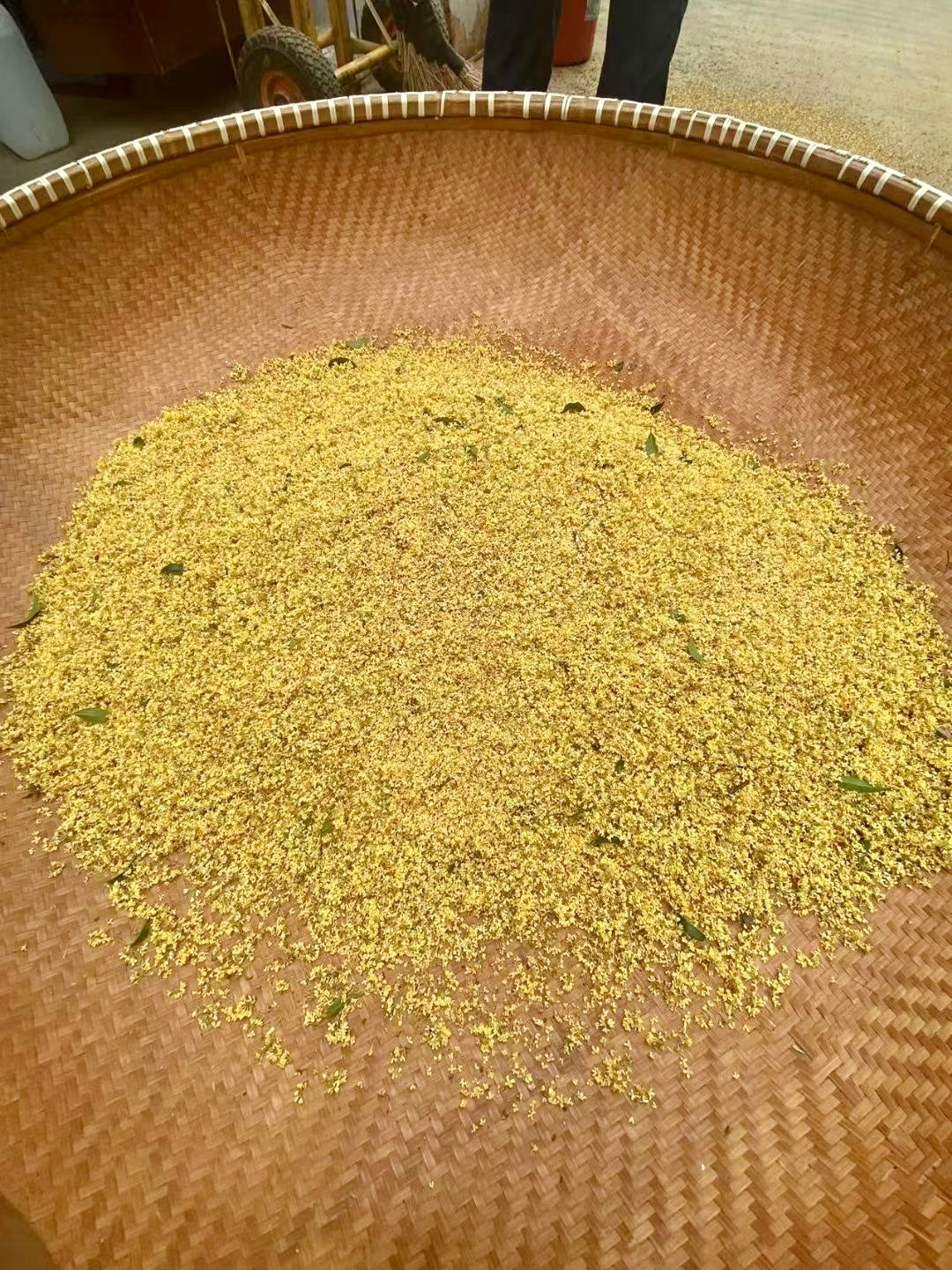2023 Osmanthus Jiu Qu Hong Mei Black Tea