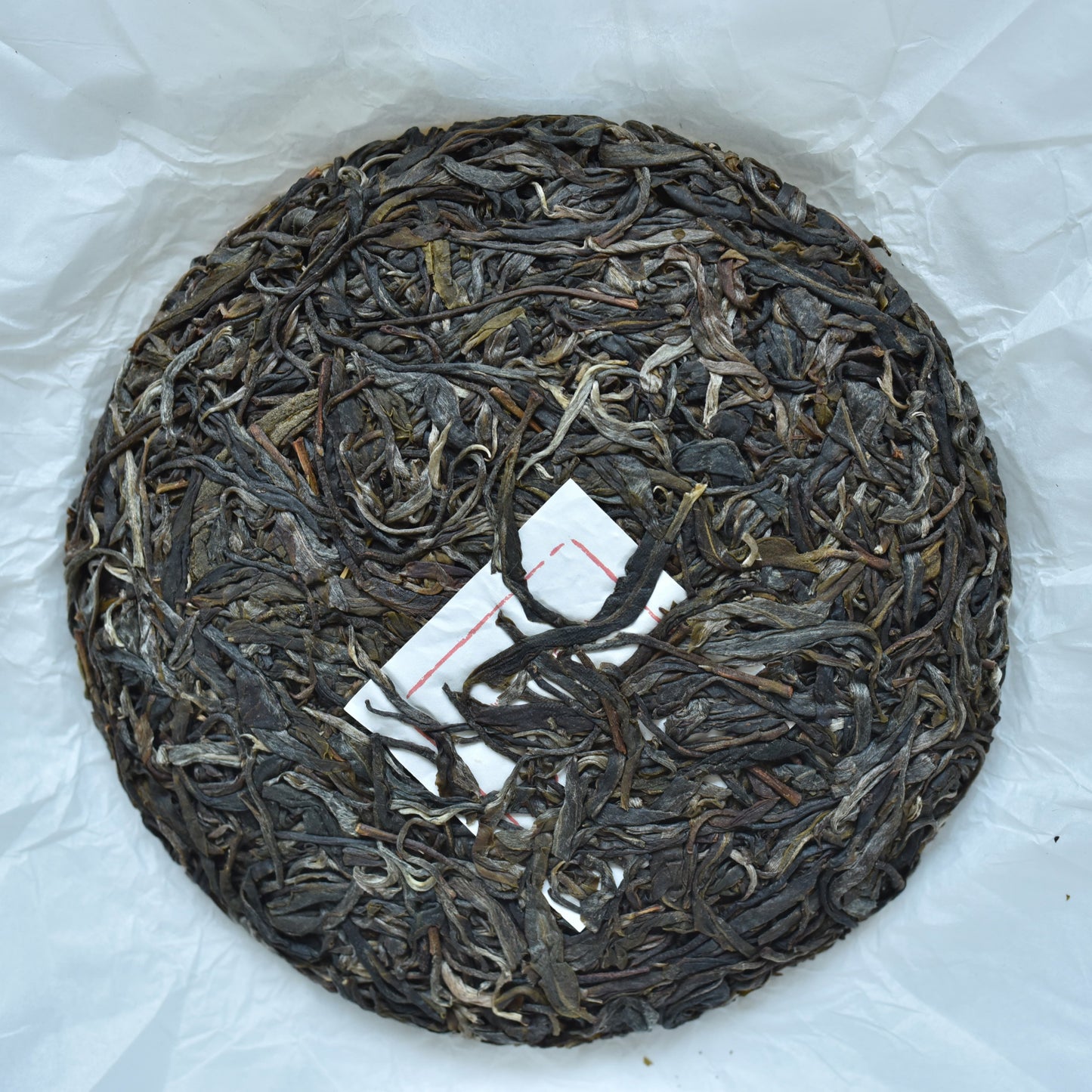 2024 Ban Pen Big Trees Puerh