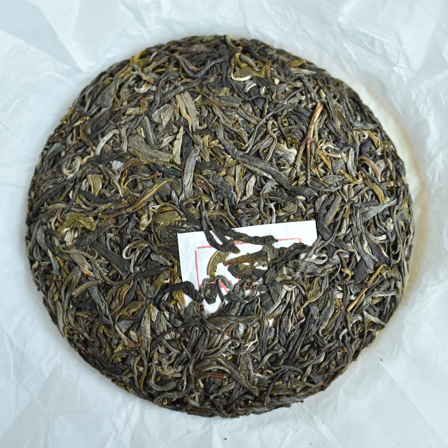 2024 Bodhi Grove Ancient Trees Puerh