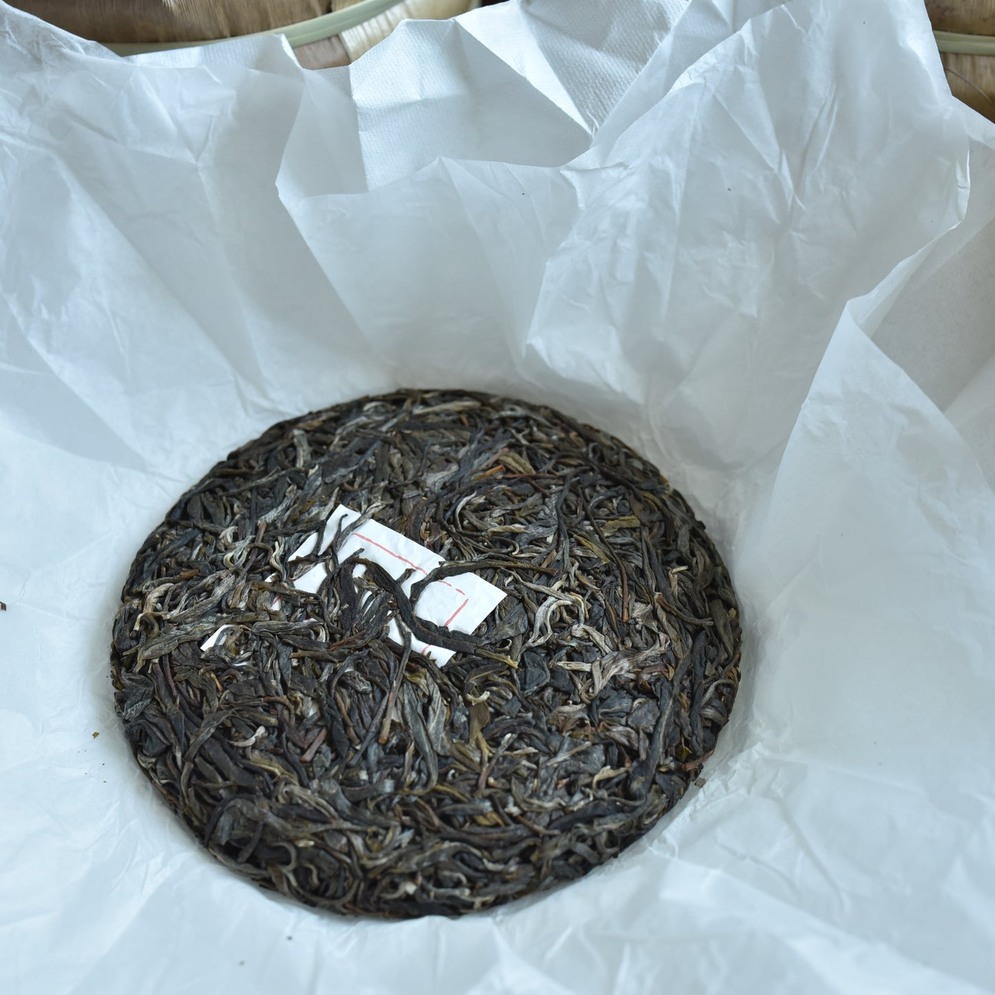 2024 Ban Pen Big Trees Puerh