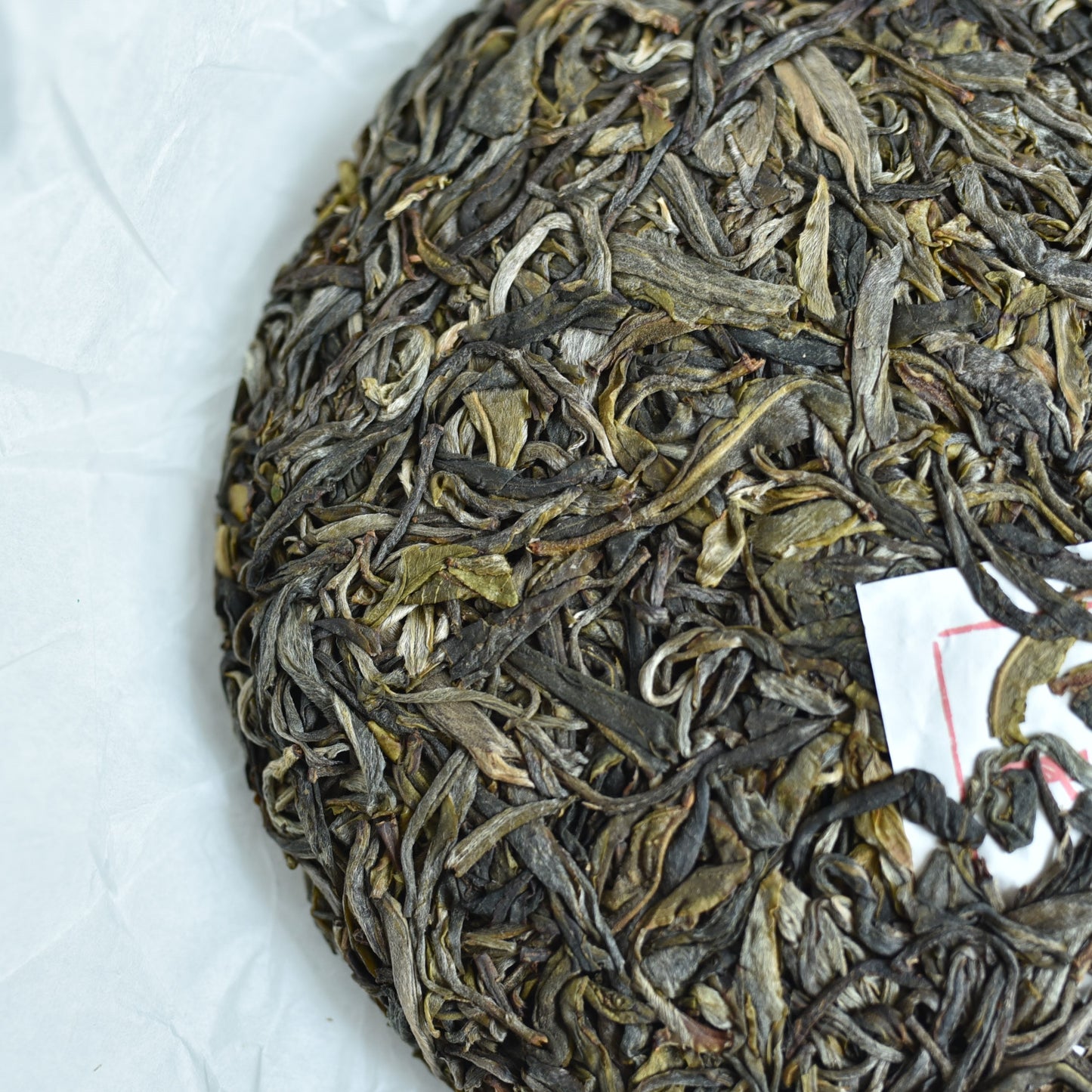 2024 Bodhi Grove Ancient Trees Puerh