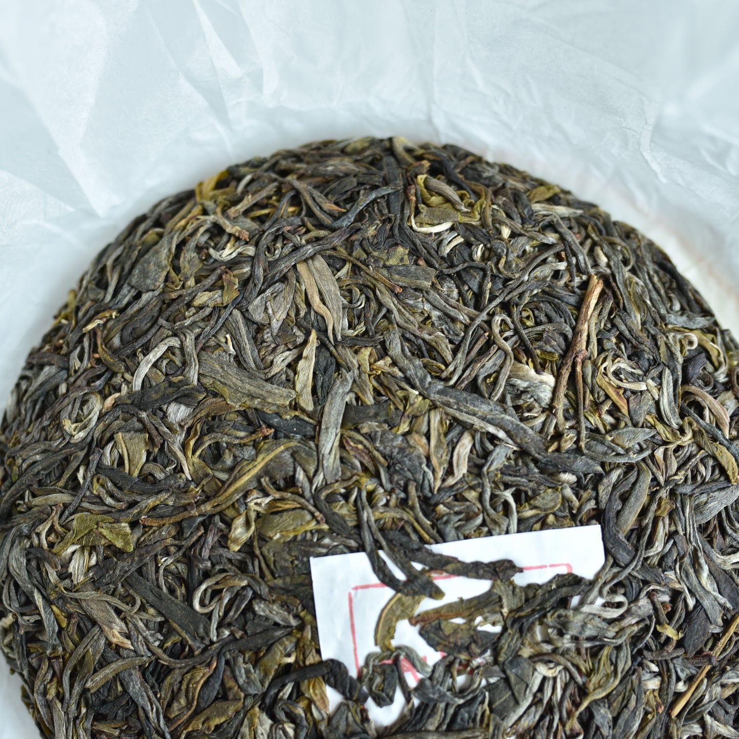 2024 Bodhi Grove Ancient Trees Puerh