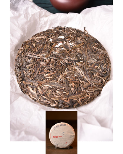 2023 Man Zhuan - Man Lin Village Gushu Puerh