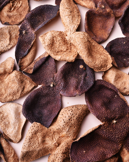 Aged Orange Peel - Meijiang Chenpi