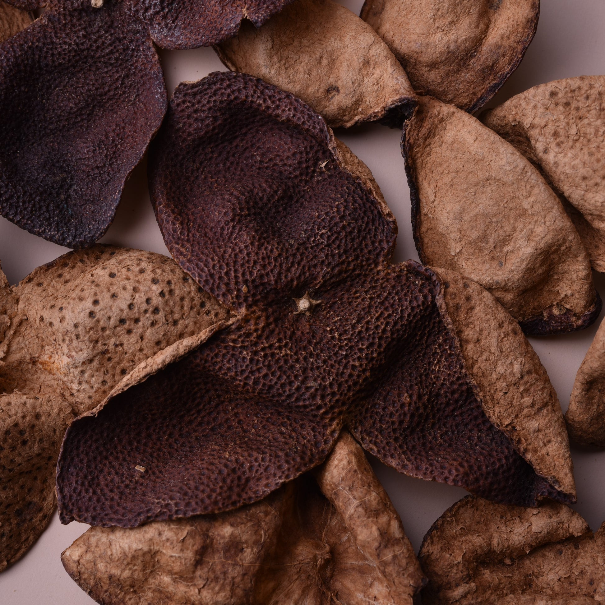 Close-up of dried orange peels (chenpi).