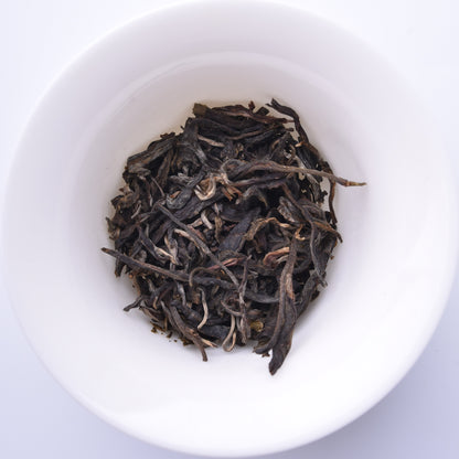 Sheng / raw Puerh tea leaves in a white Gaiwan