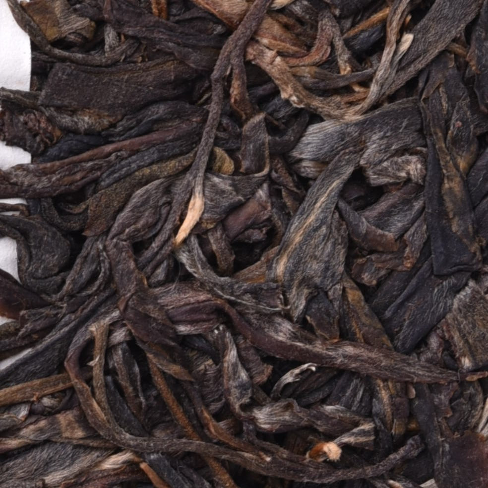 2022 Ma Li Shu (Yibang) Gushu Puerh