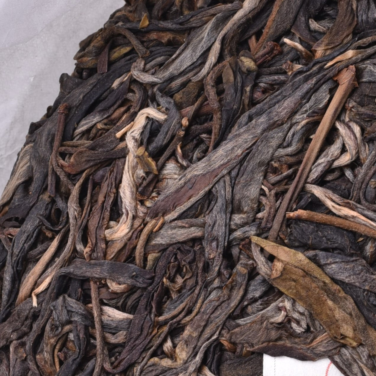 2022 Ma Li Shu (Yibang) Gushu Puerh