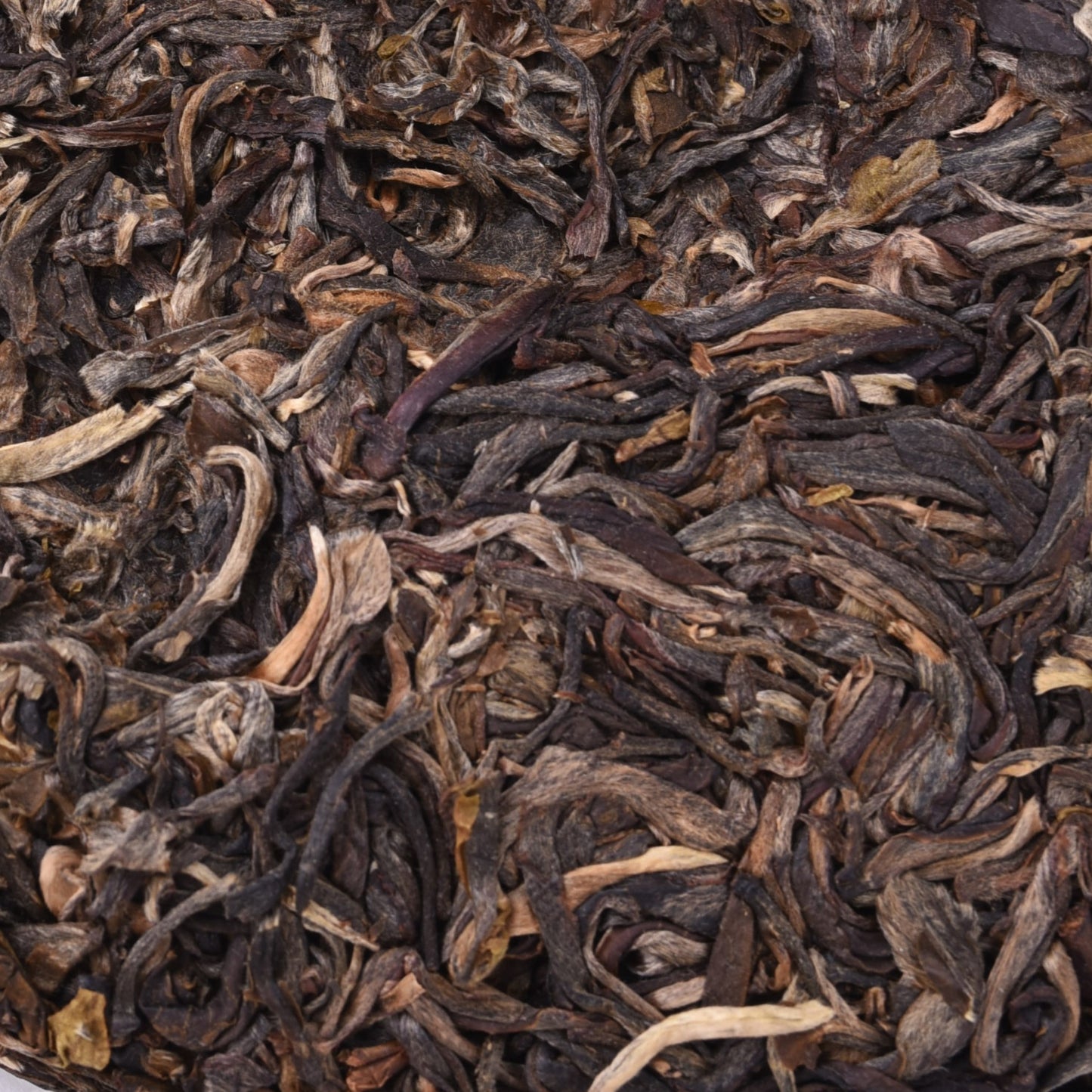 2022 Xu Li Shan Tribute Tea