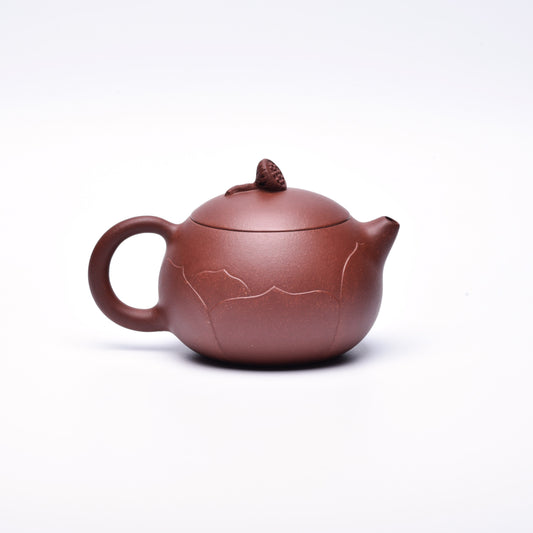 Brahma's Lotus (梵莲) Di Cao Qing Yixing  #4038