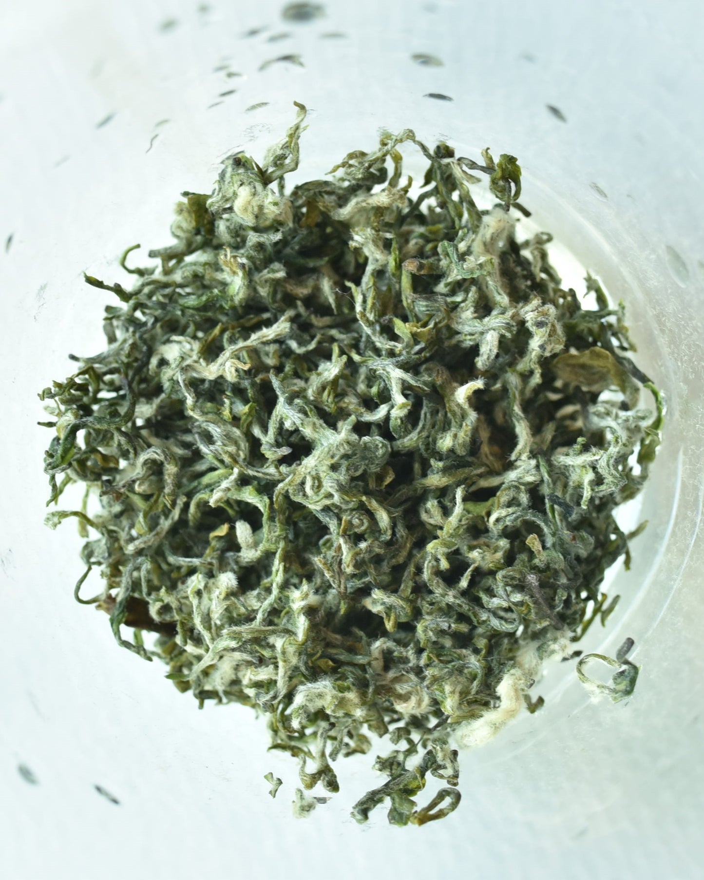 Biluochun 2026 Green Tea [Pre-order]