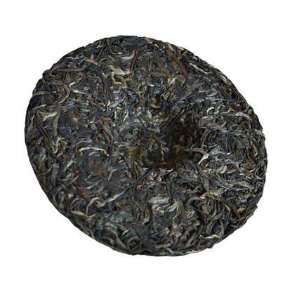 2024 Ban Pen Big Trees Puerh