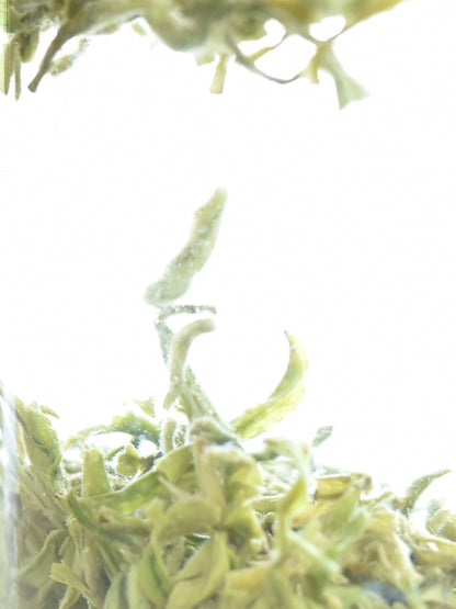Biluochun 2026 Green Tea [Pre-order]