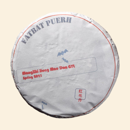 2023 MangZhi Hong Mao Dan GYL Gushu