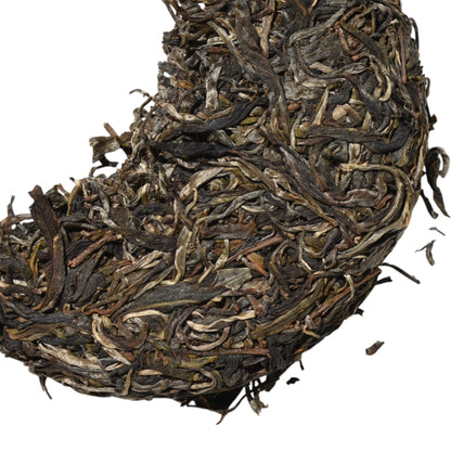 2023 Man Zhuan - Man Lin Village Gushu Puerh