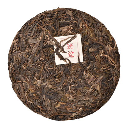 2023 Ban Pen Big Trees Puerh