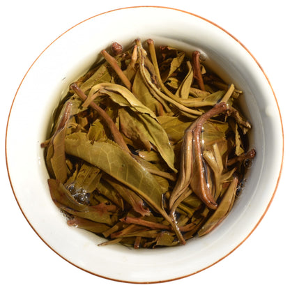 2023 Ban Pen Big Trees Puerh