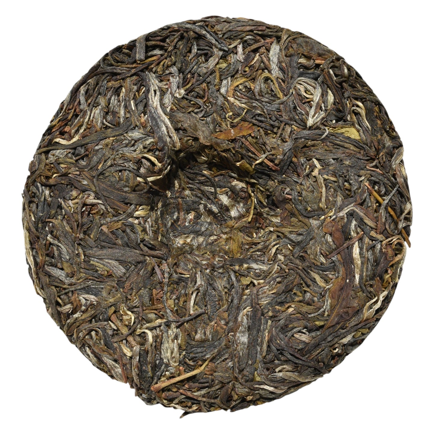 2023 Bohetang Ancient Trees