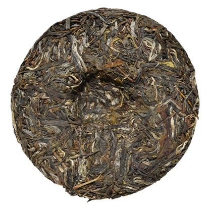 2023 Bohetang Ancient Trees