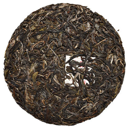 2023 Kunlu Shan Imperial Tribute Tea