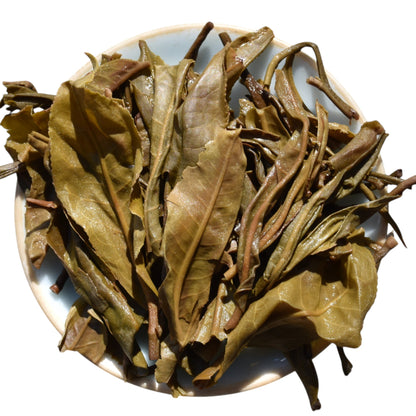 2024 Ban Pen Big Trees Puerh
