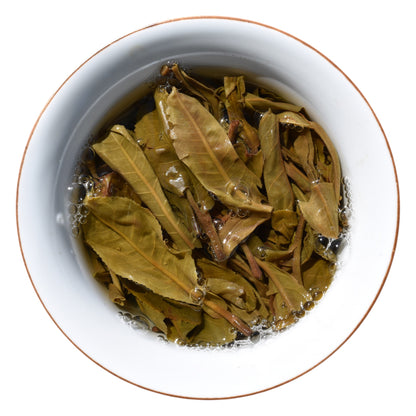 2024 Ban Pen Big Trees Puerh