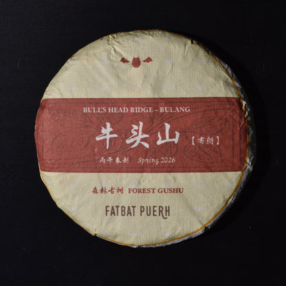2026 Bull's Head Ridge Gushu Puerh