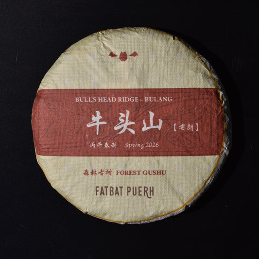 2026 Bull's Head Ridge Gushu Puerh