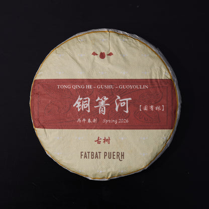 2026 Tong Qing He Gushu Puerh