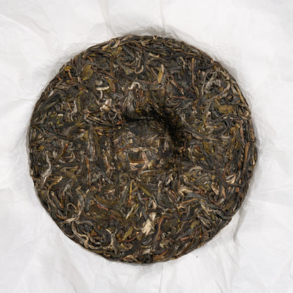 2026 Wilderness - ManZhuan Puerh