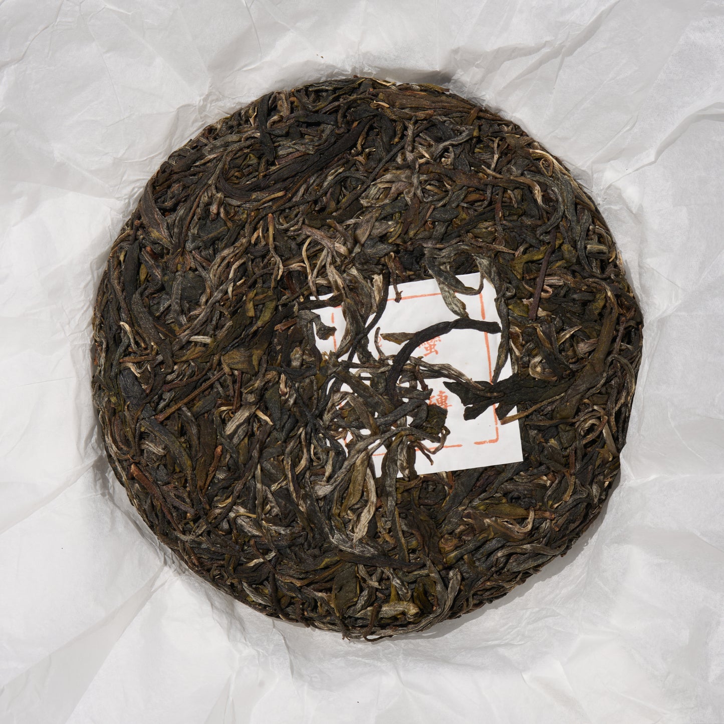 2026 Wilderness - ManZhuan Puerh
