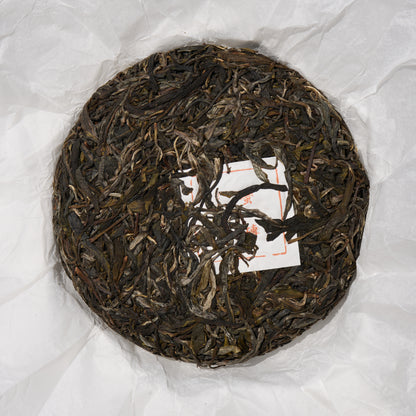 2026 Wilderness - ManZhuan Puerh