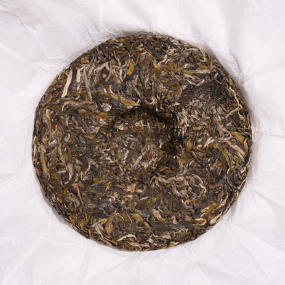 2026 Man Song Imperial Tribute Puerh