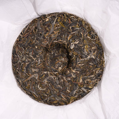 2026 Tong Qing He Gushu Puerh
