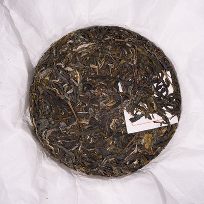2026 Tong Qing He Gushu Puerh