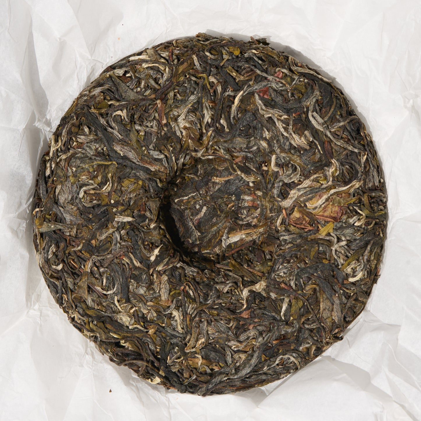 2026 Rhino Pond - King Tree Grove Puerh