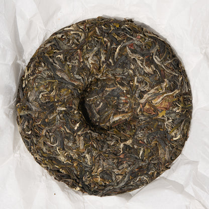 2026 Rhino Pond - King Tree Grove Puerh