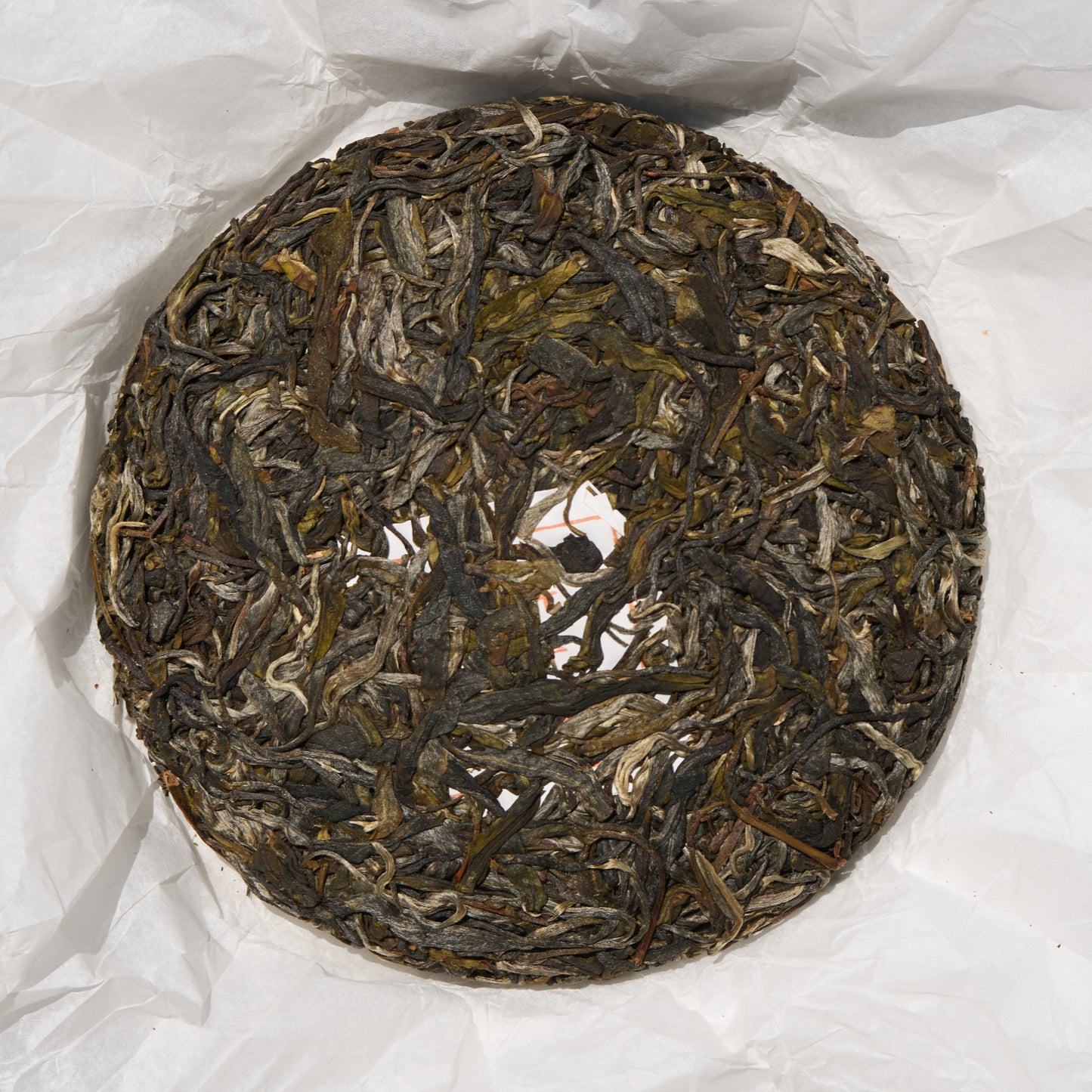 2026 Rhino Pond - King Tree Grove Puerh