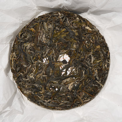 2026 Rhino Pond - King Tree Grove Puerh